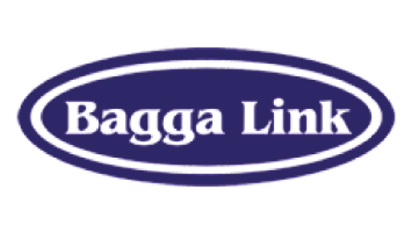 Bagga Link Motor